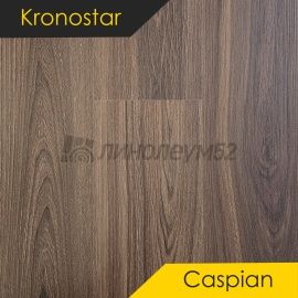 Дизайн - Kronostar Ламинат 8/32 - CASPIAN / ЯСЕНЬ АЛАМО D1803
