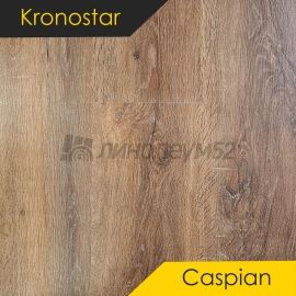 Дизайн - Kronostar Ламинат 8/32 - CASPIAN / ДУБ ФЛЭМИНГ D50247