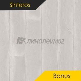 Дизайн - Sinteros BONUS - REPIN 1
